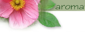 AromaVital Logo